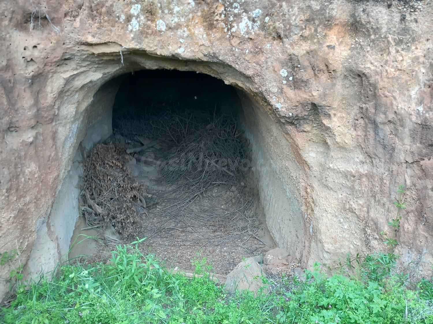 Ofrecemos esta preciosa finca en Vilaflor de Chasna - foto 5