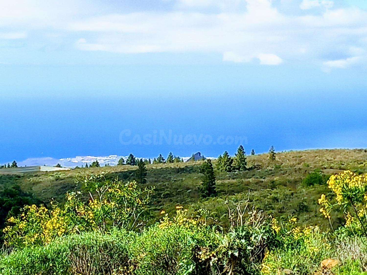 En venta maravillosa finca completamente llana en Vilaflor de Chasna, a 1.200 msnm.