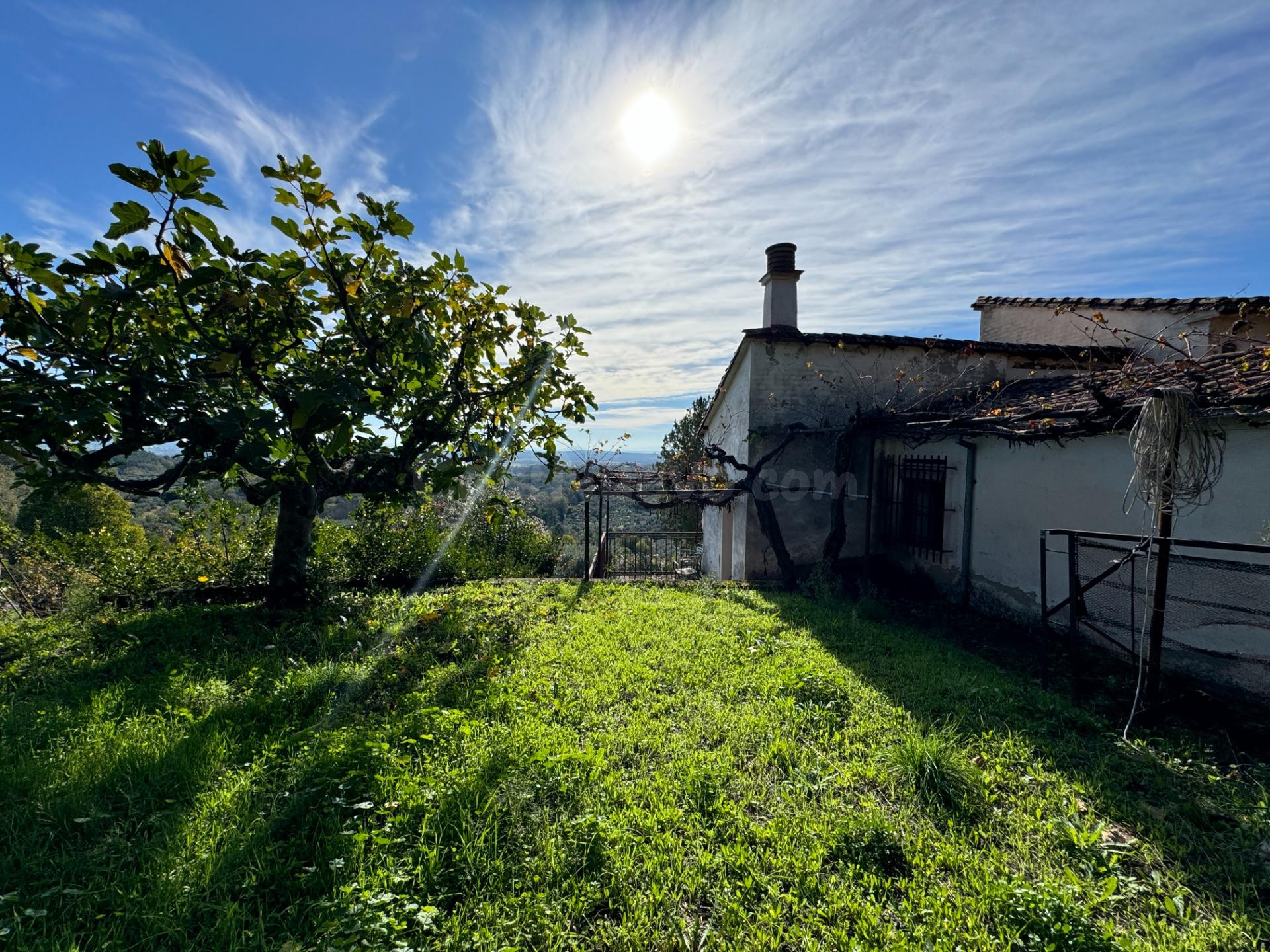 ¡Exclusiva finca rústica en Candeleda, Ávila! Naturaleza, hi - foto 2