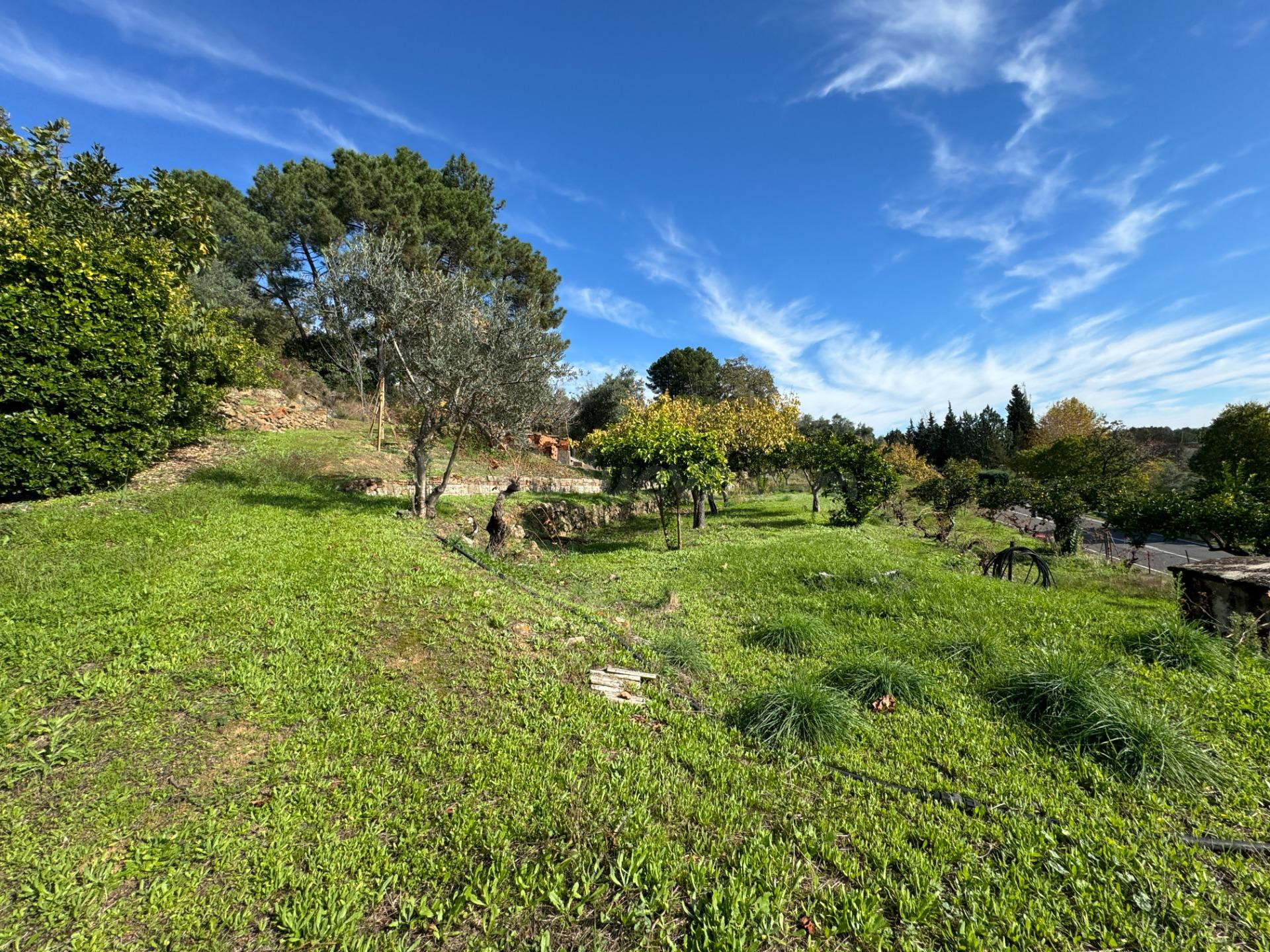 ¡Exclusiva finca rústica en Candeleda, Ávila! Naturaleza, hi - foto 5