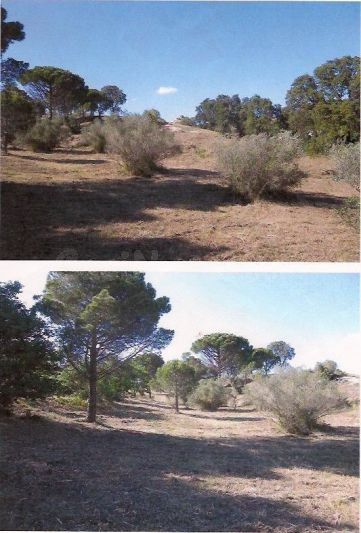 TERRENO EN VILAJUIGA OPORTUNIDAD INVERSORES!
