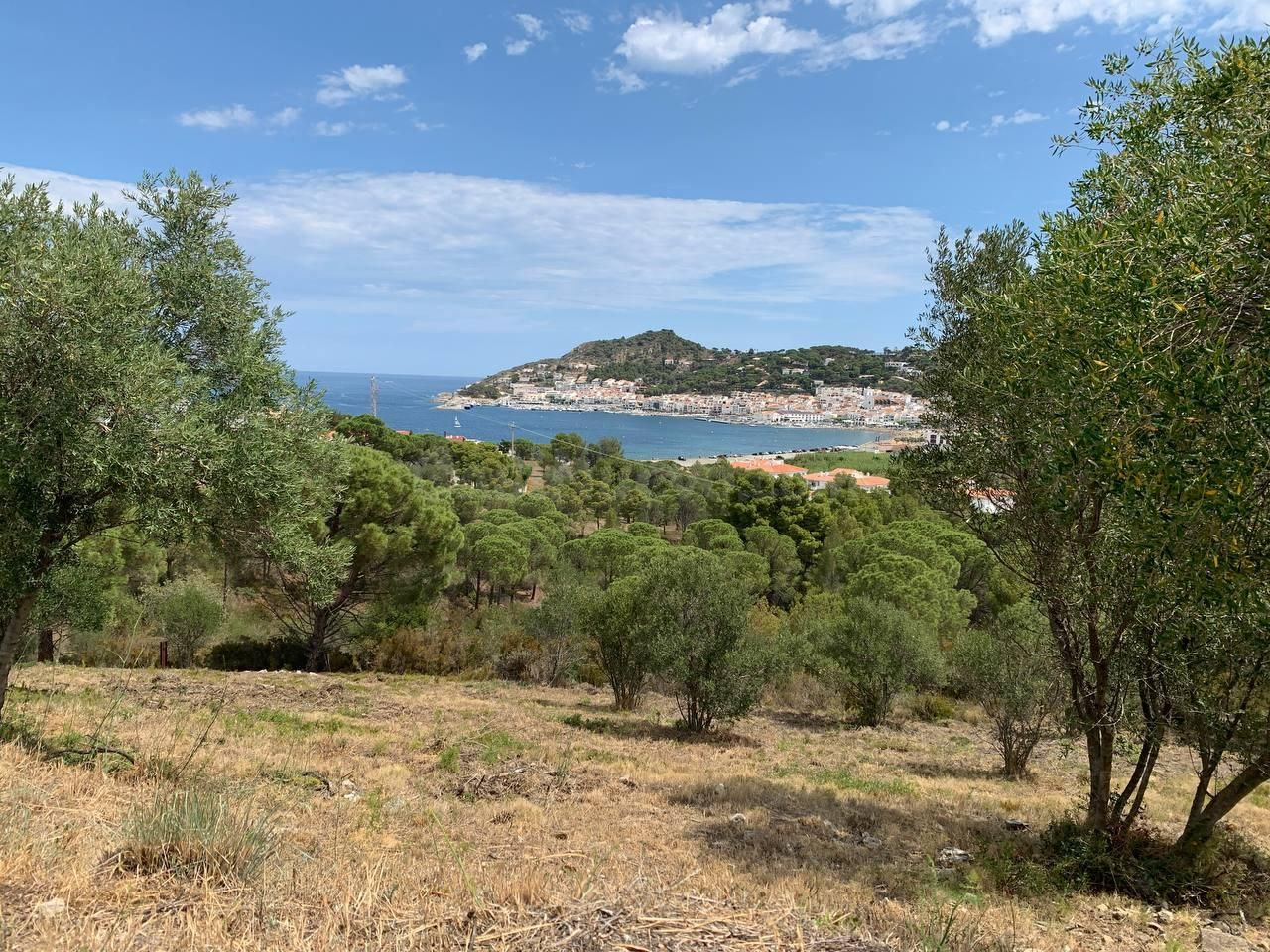 CONJUNTO DE PARCELAS CON VISTA MAR EN PORT DE LA SELVA - foto 2