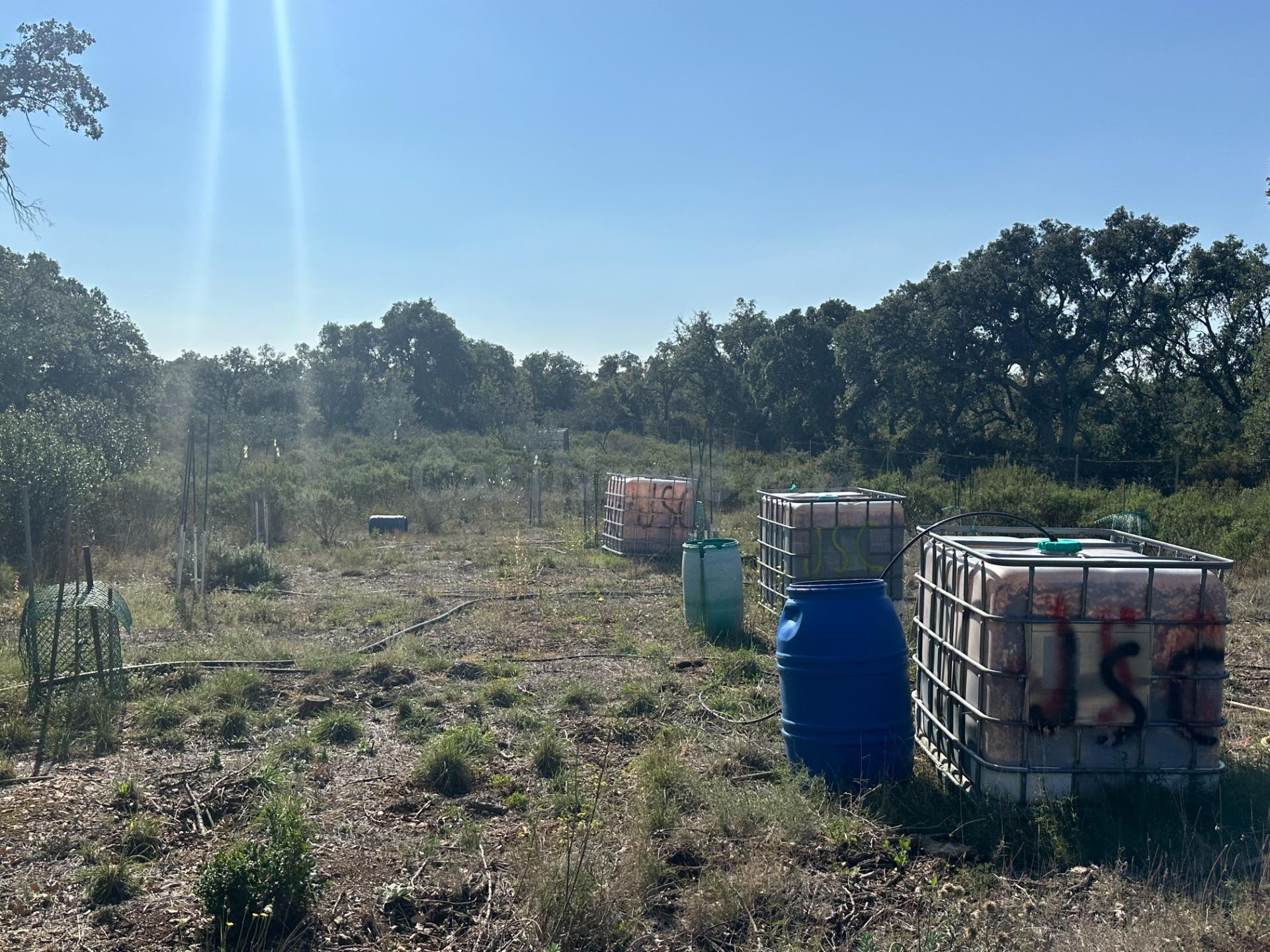 Oportunidad en el Alt Empordà: finca con pozo propio y panorámicas incomparables - foto 4