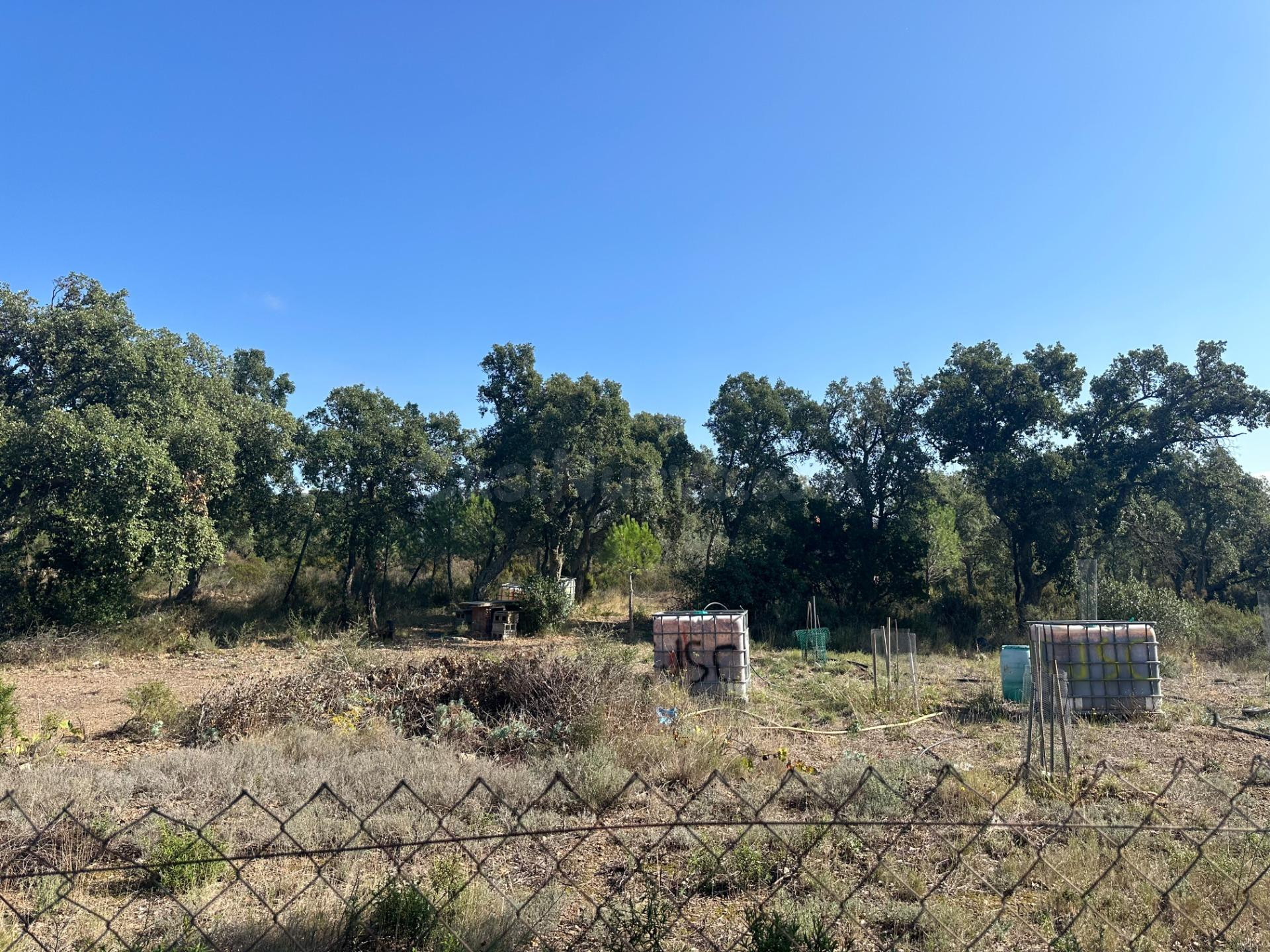 Oportunidad en el Alt Empordà: finca con pozo propio y panorámicas incomparables - foto 5