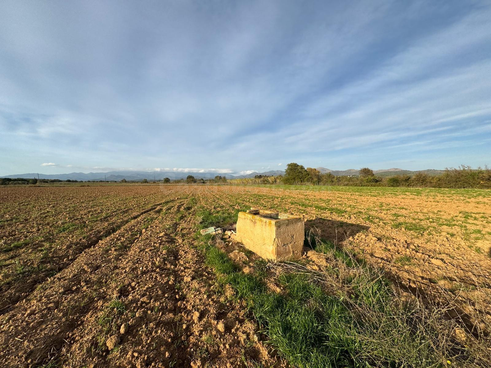 Terreno rústico de 23.000 m2 en Garriguella – Un entorno natural único en el Alt Empordà