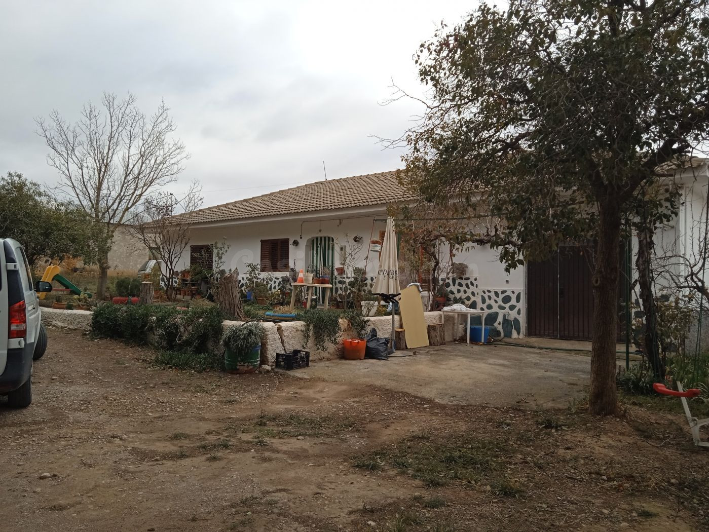 Finca de Olivos en Venta