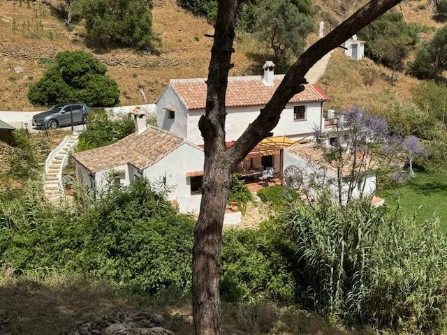 Una encantadora finca andaluza en Casares - foto 3