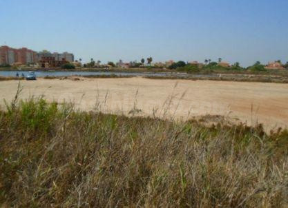 Parcela en el km 18-19 de la Manga del Mar Menor. - foto 4