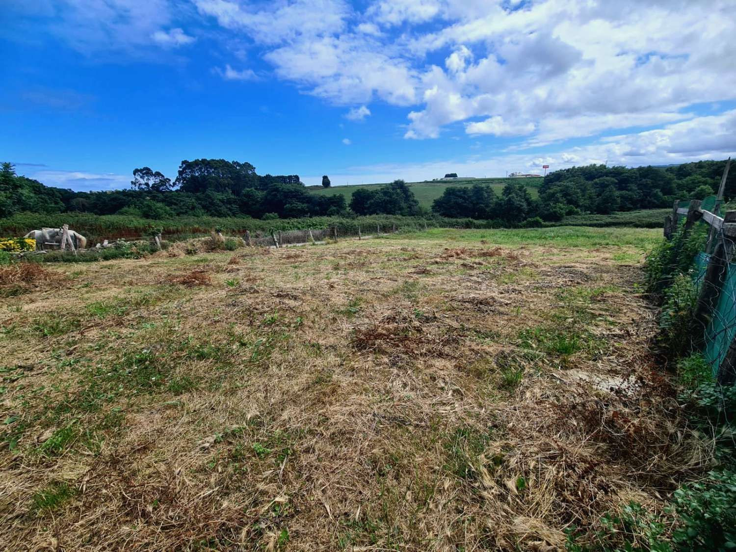 FINCA URBANIZABLE AL LADO DE LA PLAYA DE PEÑARRONDA (ASTURIAS)