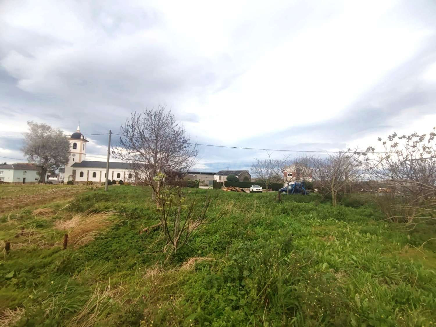 PARCELA EN TOL, CASTROPOL