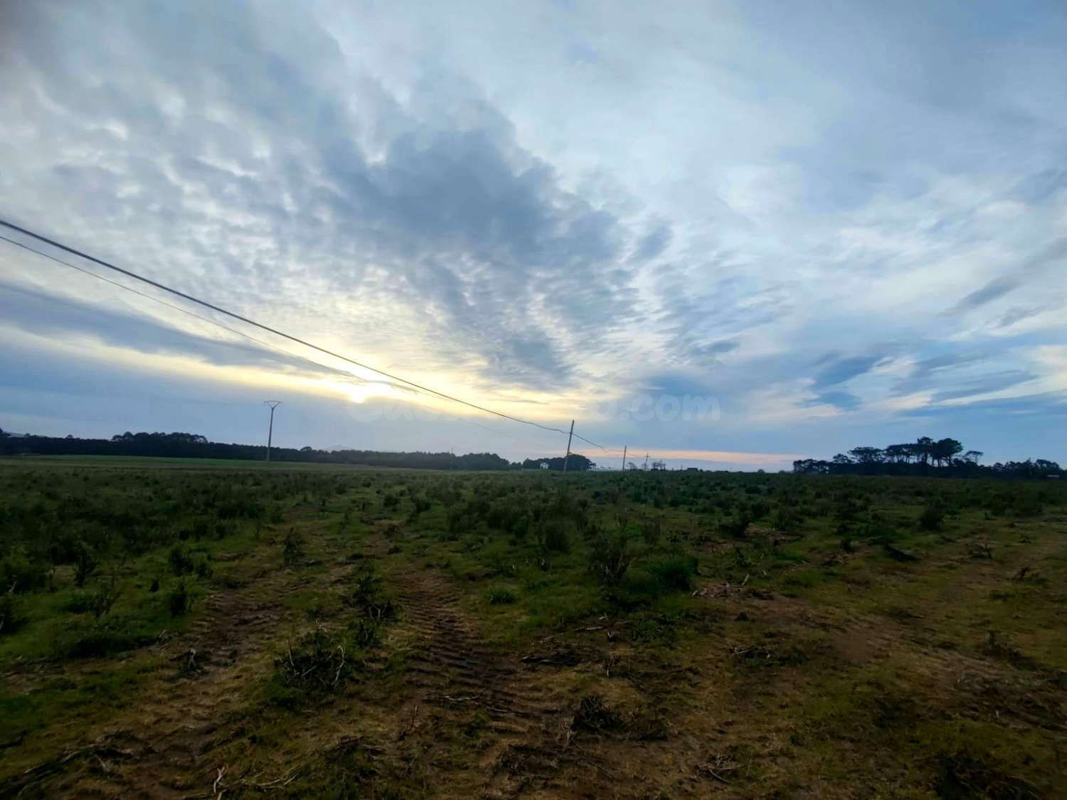 TERRENO URBANIZABLE EN SALAVE, TAPIA DE CASARIEGO