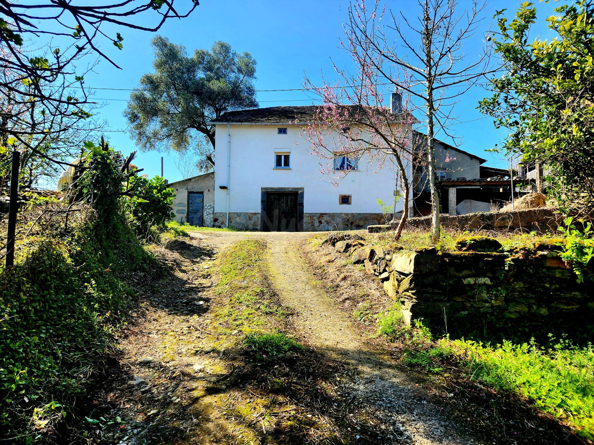 Encanto rural en el corazón de Asturias. Se vende  Casa y fi