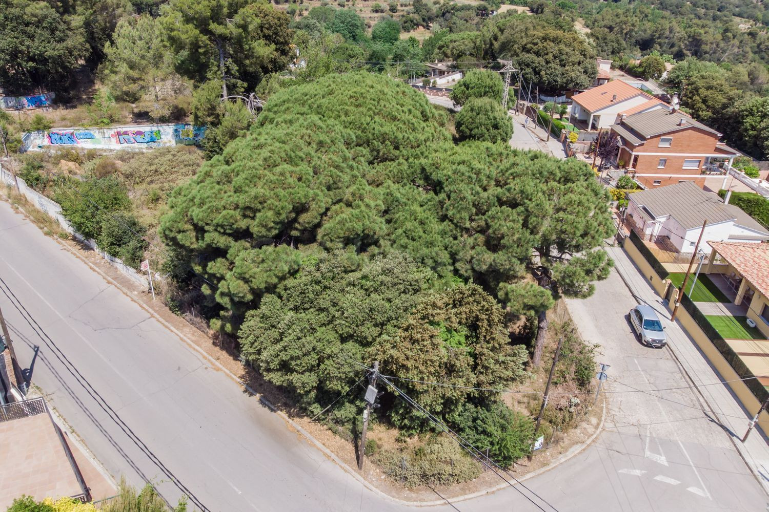 Parcela ideal para constructores con multitud de posibilidad - foto 5