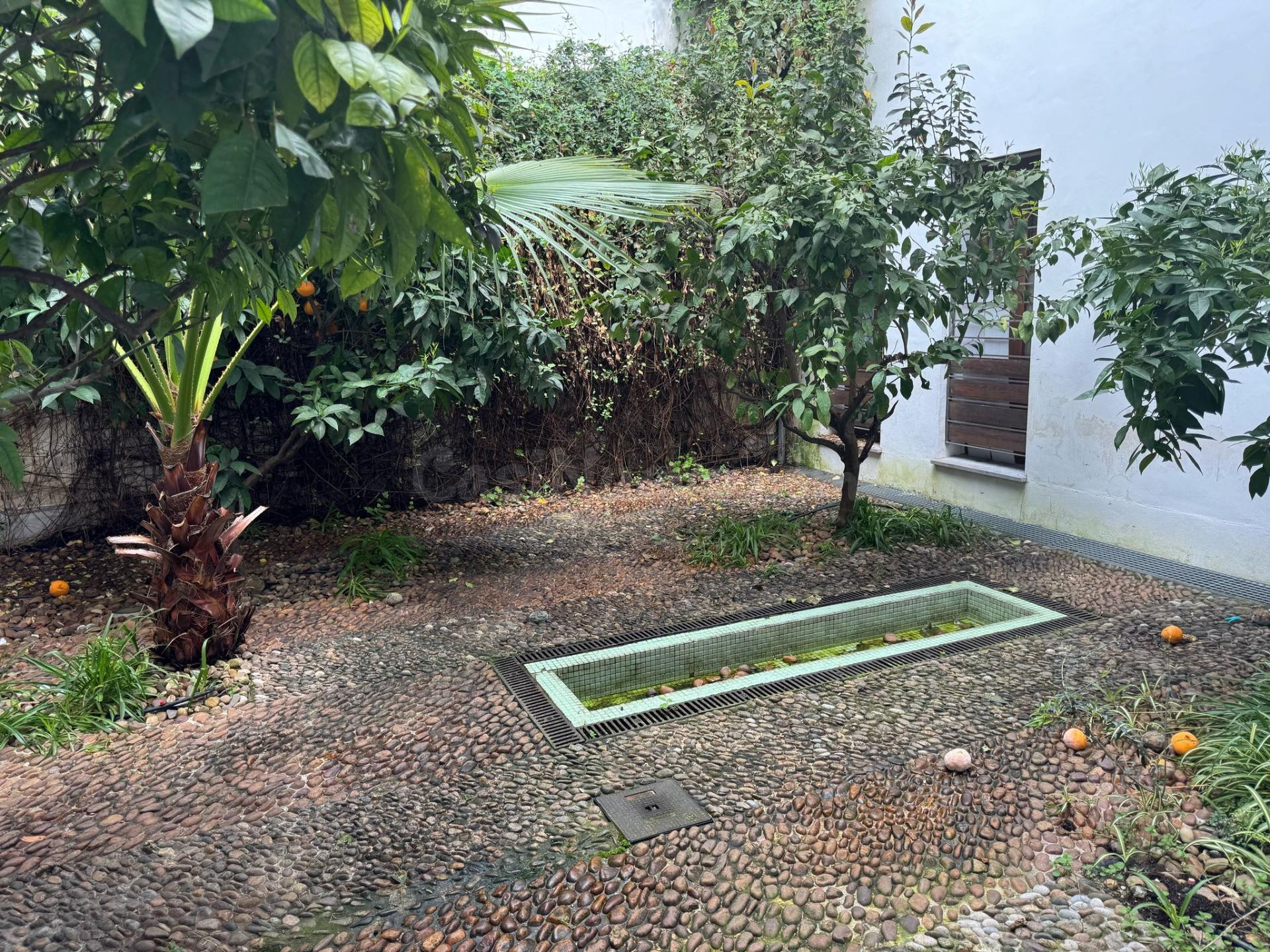 ¡¡¡ PRECIOSO DUPLEX CERCANO A LA RIBERA !!!