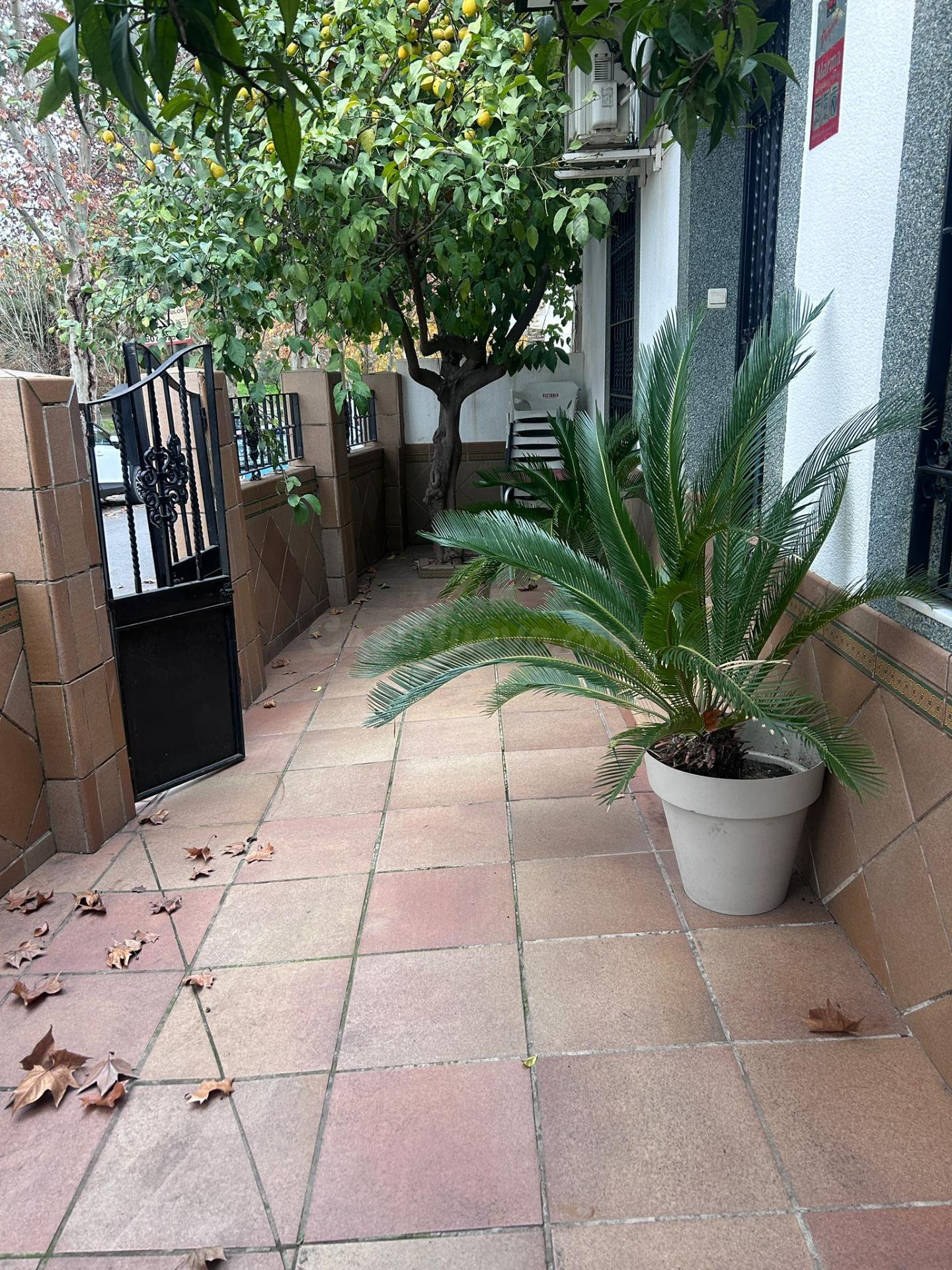 ¡¡¡CASA EN EL BARRIO NARANJO!!!