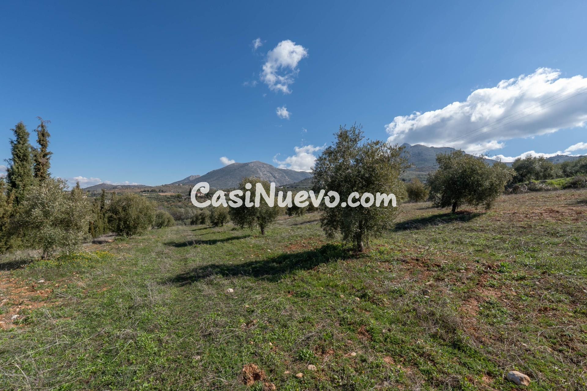 Terreno rústico en Cogollos Vega, con toma de luz y agua en la entrada