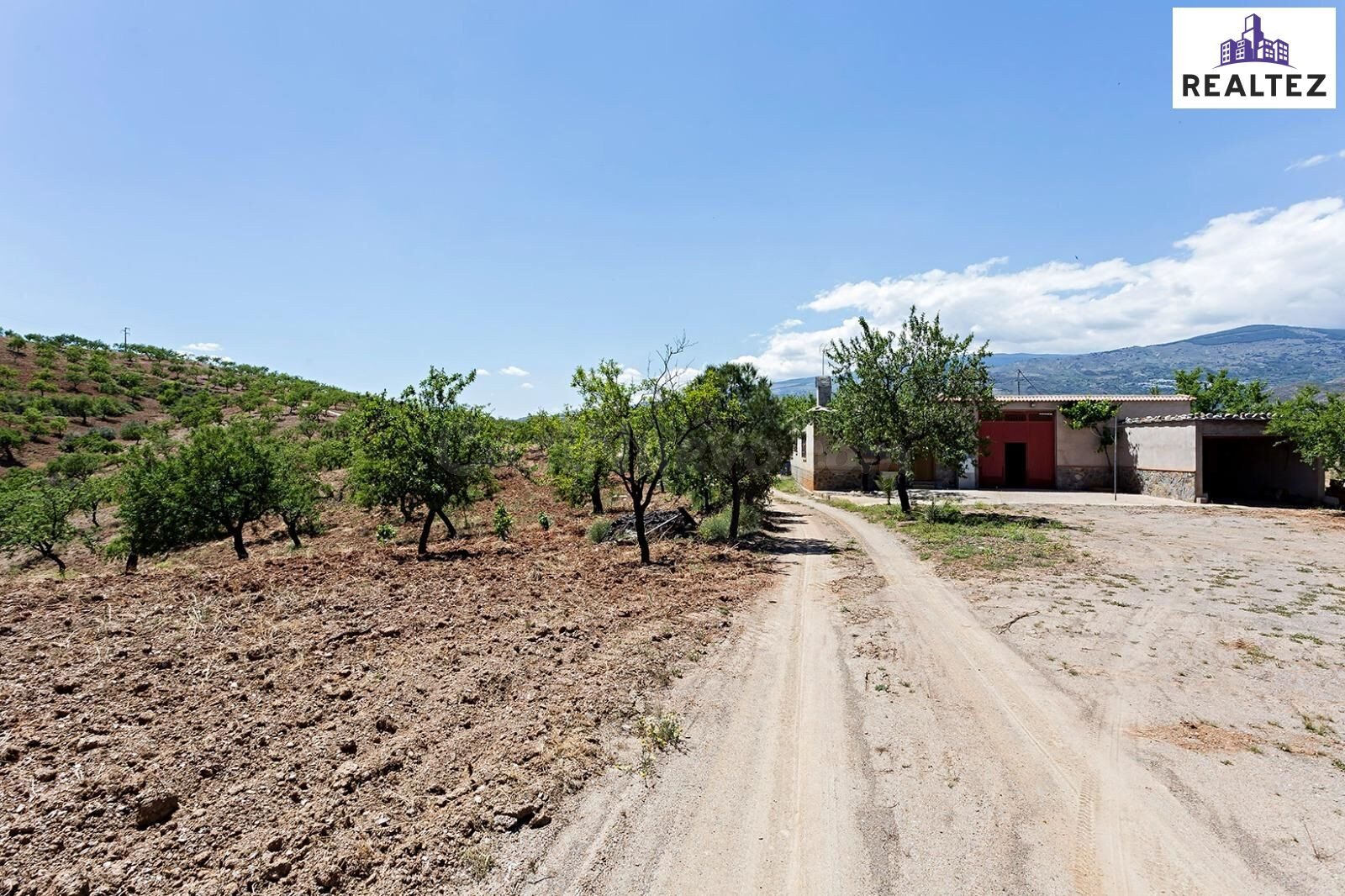 FINCA DE MÁS DE 25 HECTÁREAS CON ALMENDROS ECOLÓGICOS Y CORTIJO