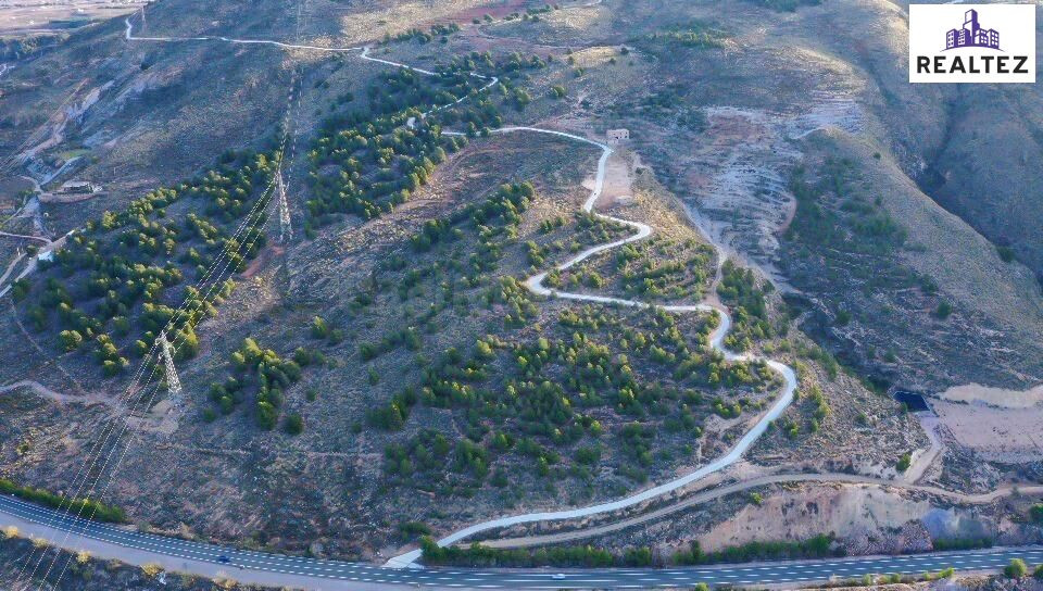 FINCA EN VENTA EN ALCOLEA CON UNA NAVE CONSTRUIDA Y CULTIVO  - foto 2