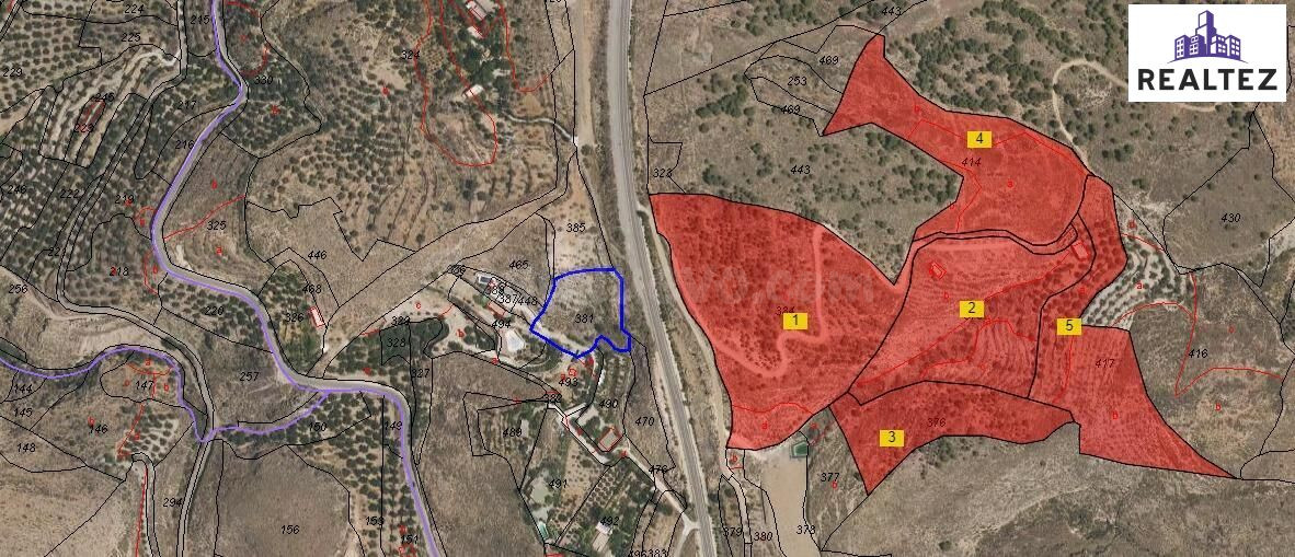 FINCA EN VENTA EN ALCOLEA CON UNA NAVE CONSTRUIDA Y CULTIVO  - foto 3