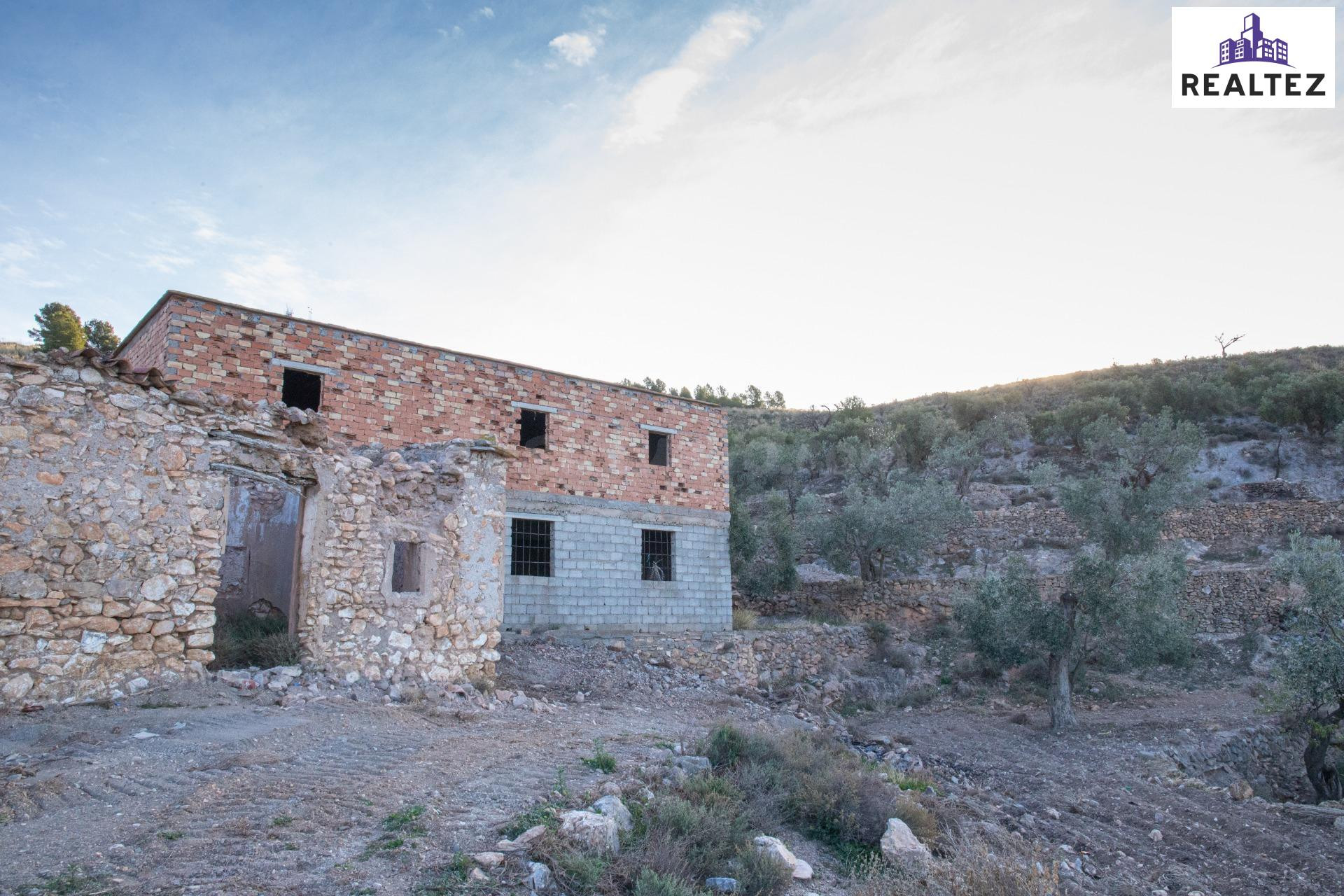 FINCA EN VENTA EN ALCOLEA CON UNA NAVE CONSTRUIDA Y CULTIVO  - foto 4