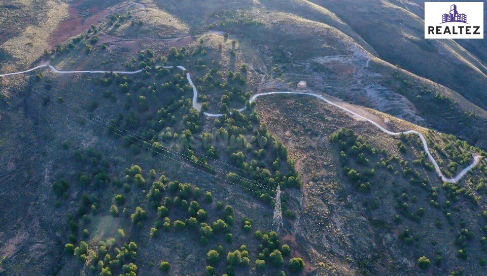 FINCA EN VENTA EN ALCOLEA CON UNA NAVE CONSTRUIDA Y CULTIVO  - foto 5