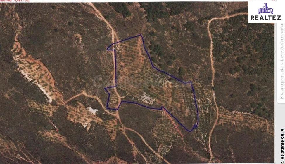 TERRENO EN ALCOLEA CON ALMENDROS  DE 17.000 METROS CUADRADOS