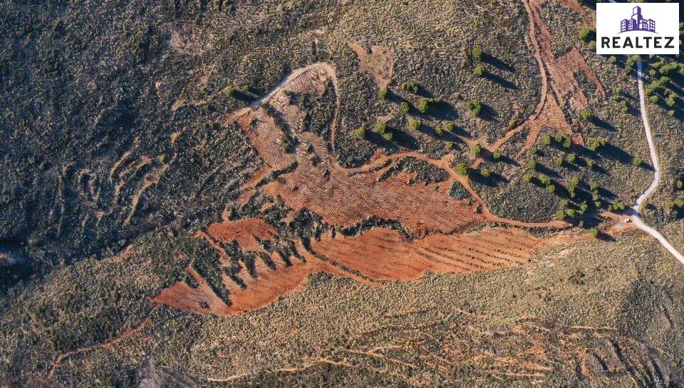 TERRENO EN VENTA EN ALCOLEA CON ALMENDROS ECOLÓGICOS EN PLENA PRODUCCIÓN