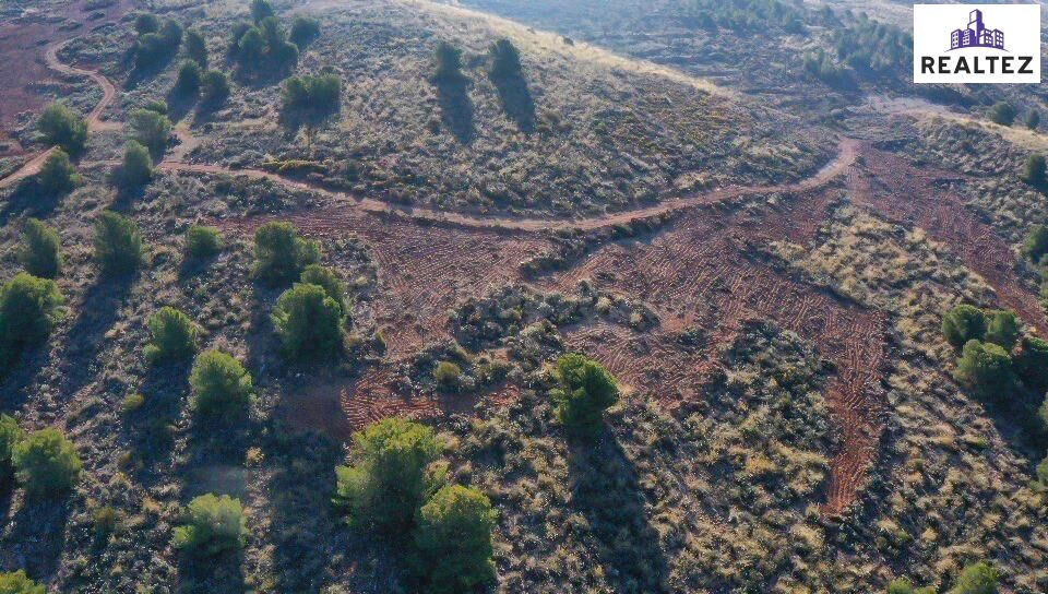 TERRENO EN VENTA EN ALCOLEA CON PRODUCCION DE ALMENDROS ECOLOGICOS