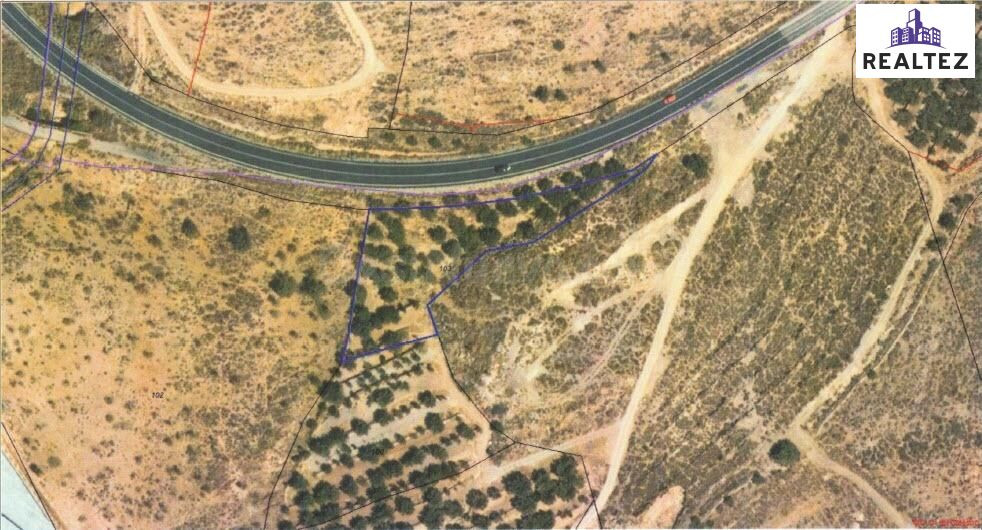 Se vende finca de olivos de regadío en Alcolea (Almería)