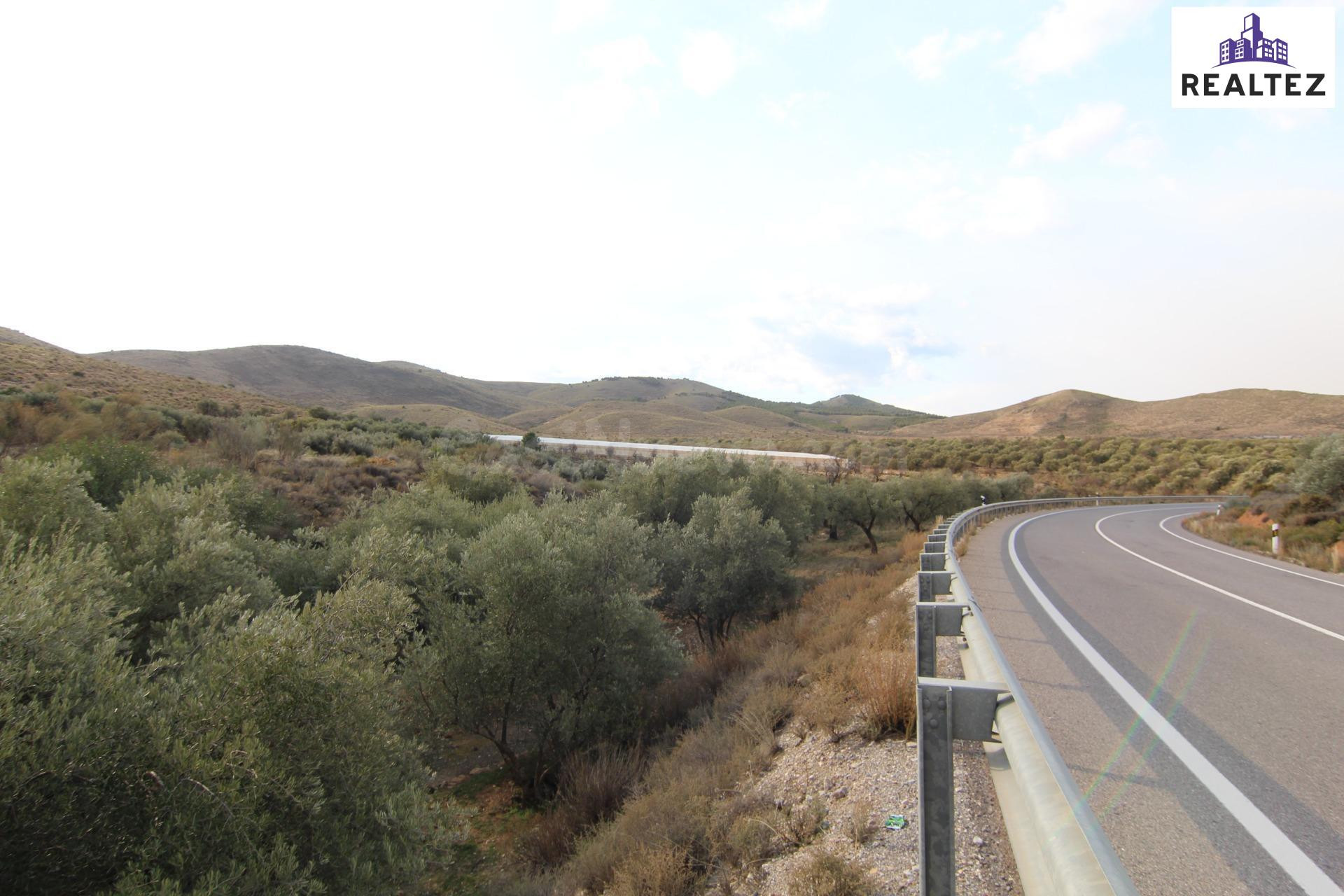 Se vende finca de olivos de regadío en Alcolea (Almería) - foto 2
