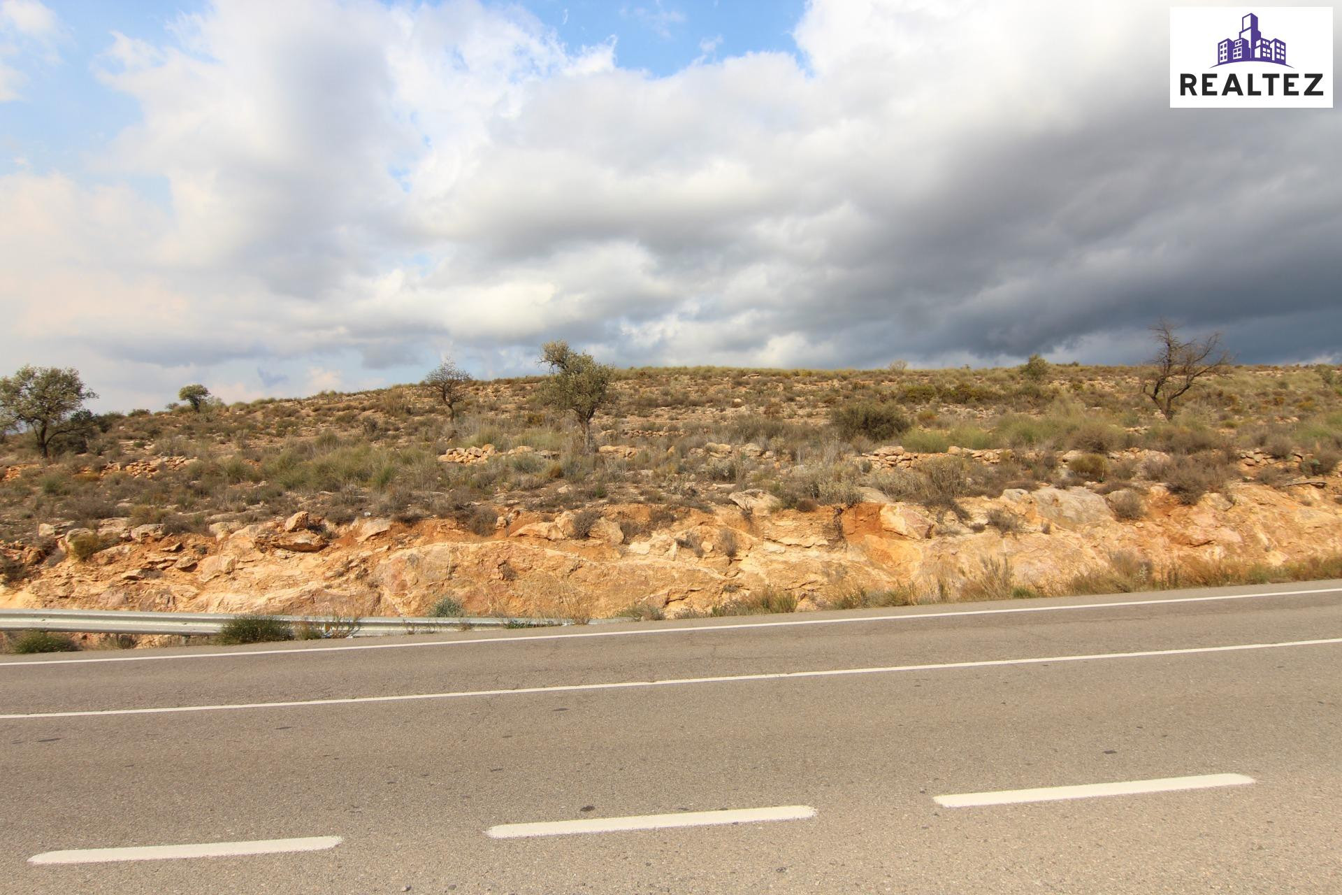 Se vende finca de olivos de regadío en Alcolea (Almería) - foto 3