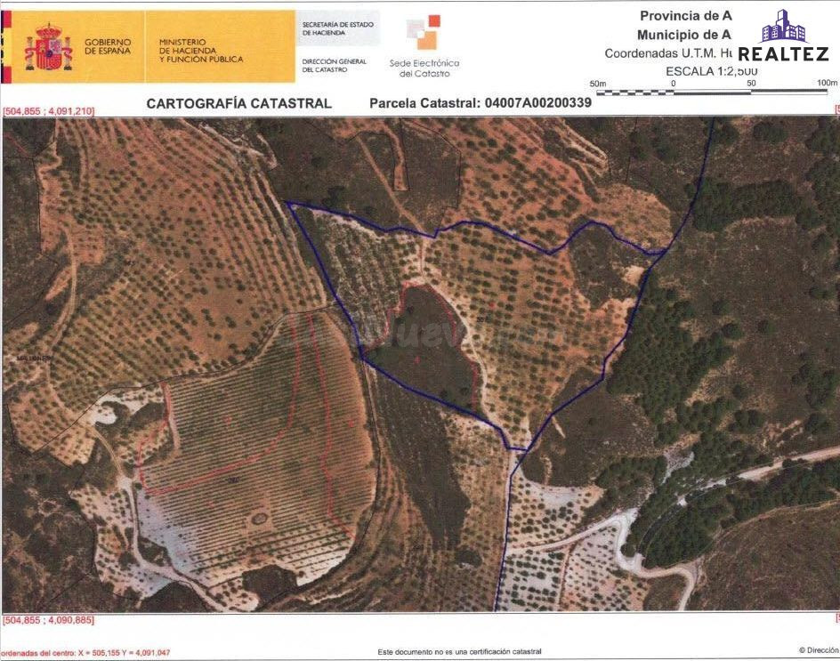 FINCA EN VENTA SITA EN ALCOLEA CON ALMENDROS ECOLÓGICOS EN P - foto 2