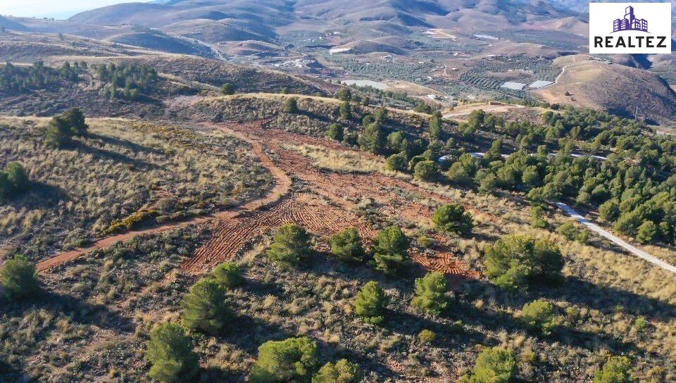 Gran finca rústica en venta en Alcolea