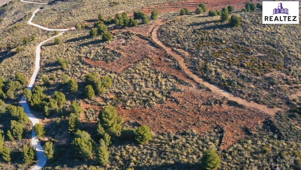 Gran finca rústica en venta en Alcolea - foto 3