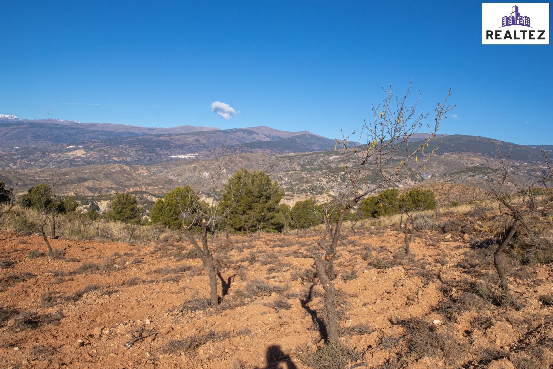Gran finca rústica en venta en Alcolea - foto 4