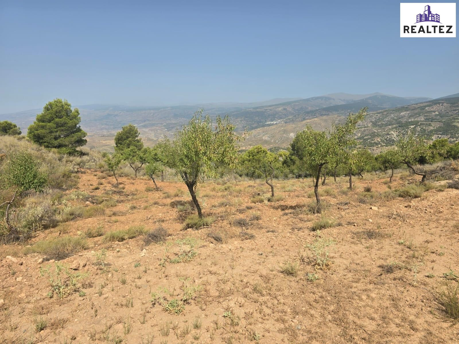 Terreno rústico en Alcolea – 10.839 m2 en plena Alpujarra Almeriense