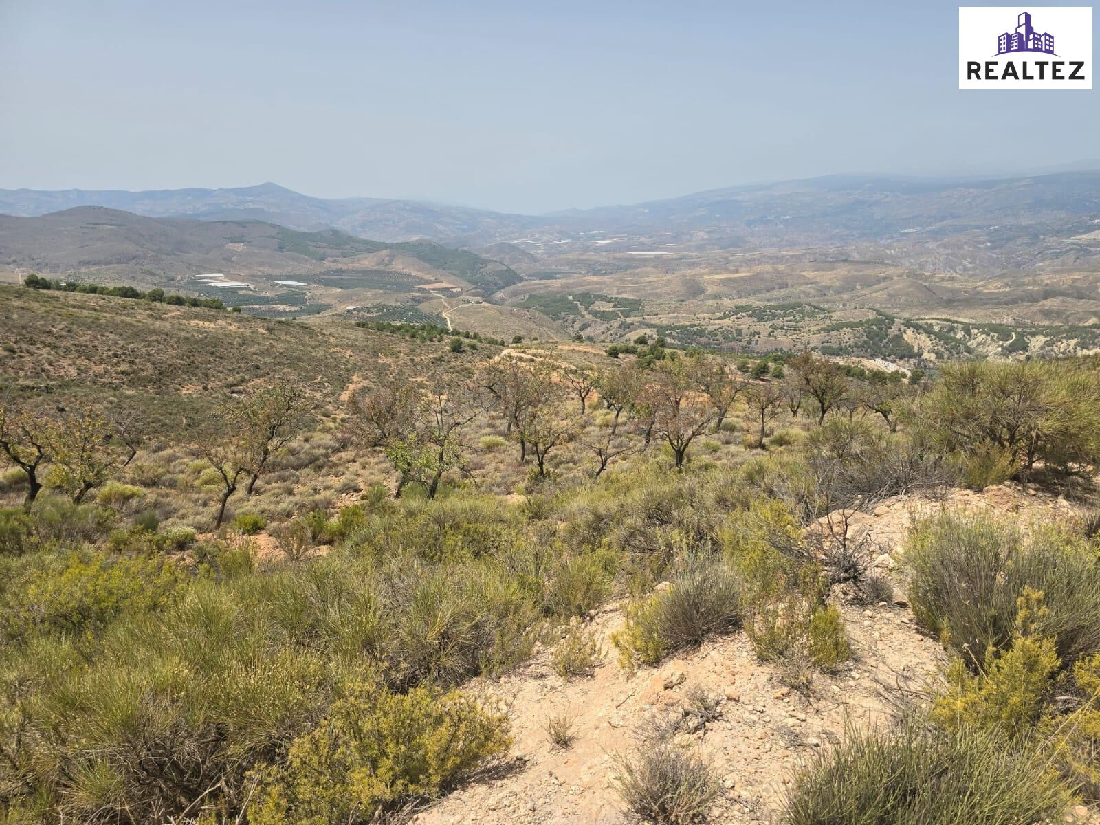 Terreno a la venta en Alcolea