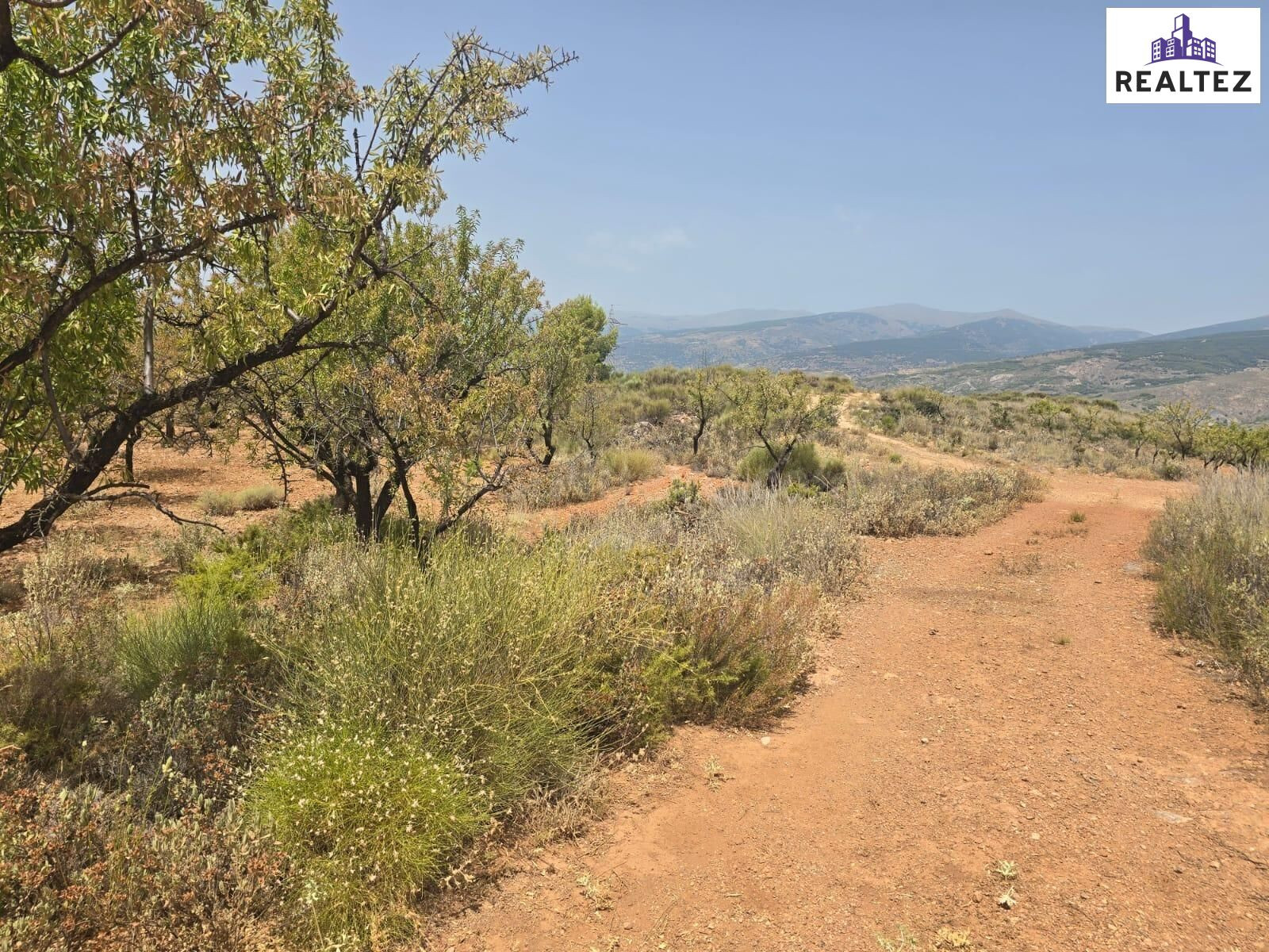 Terreno rústico en venta en Alcolea – 53.227m2 en plena Alpujarra Almeriense