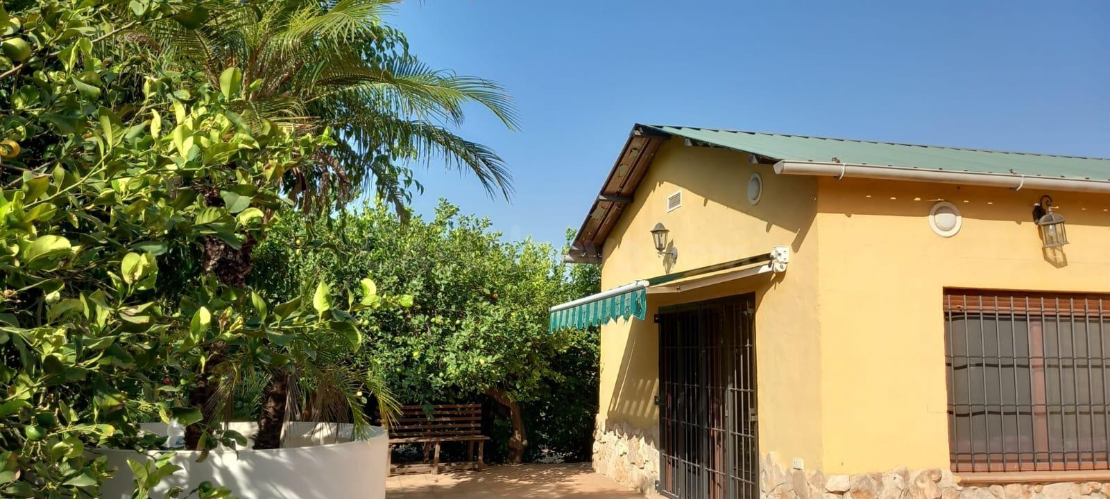 🌿 Finca en un entorno idílico, al abrigo de la montaña en la pedanía de Beniaján (Murcia) 🌄 - foto 3