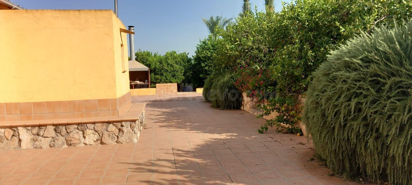 🌿 Finca en un entorno idílico, al abrigo de la montaña en la pedanía de Beniaján (Murcia) 🌄 - foto 4