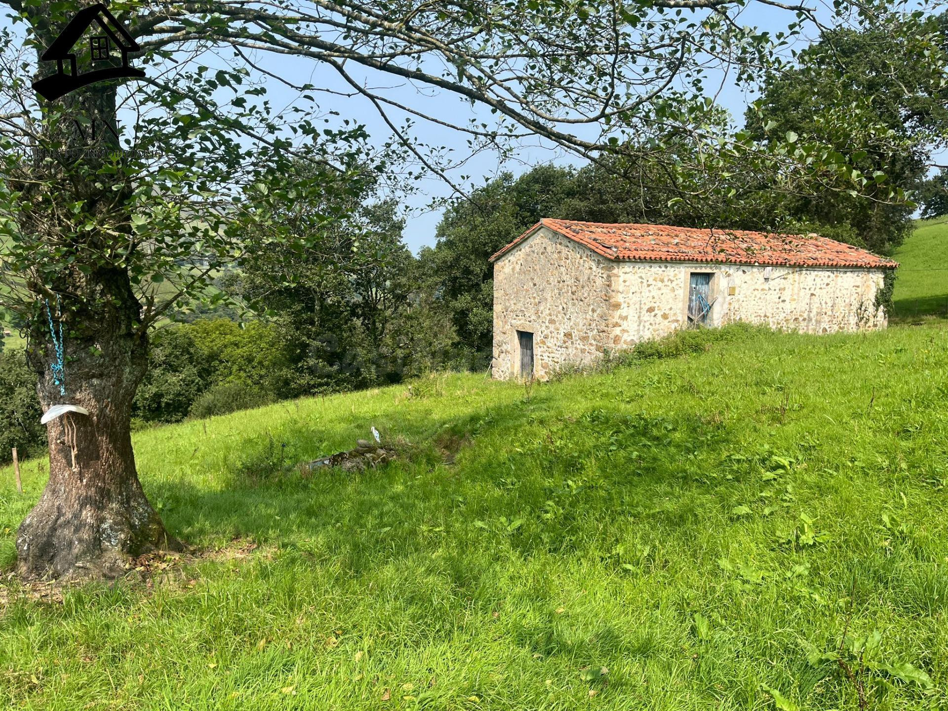 CONJUNTO DE CASA  DE CAMPO, DOS CABAÑAS PASIEGAS Y FINCA RUSTICA EN VILLACARRIEDO