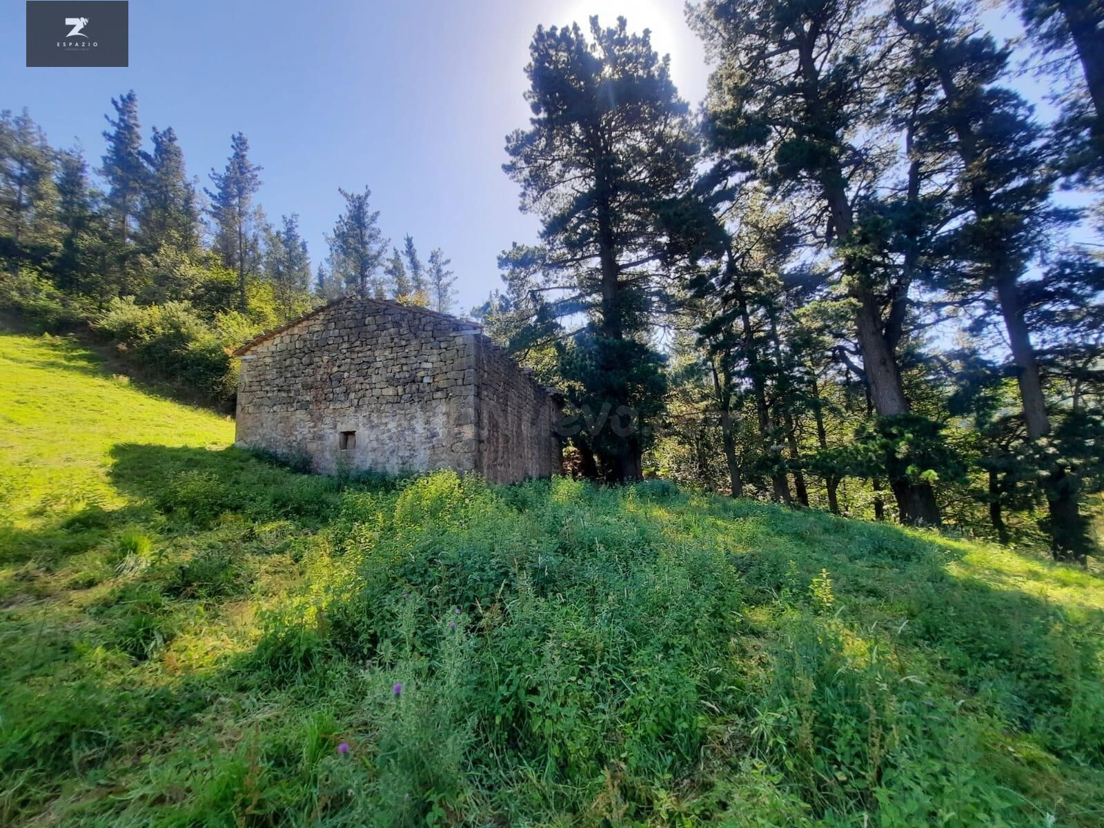 FINCA RÚSTICA CON CABAÑA PARA REFORMAR EN LUENA