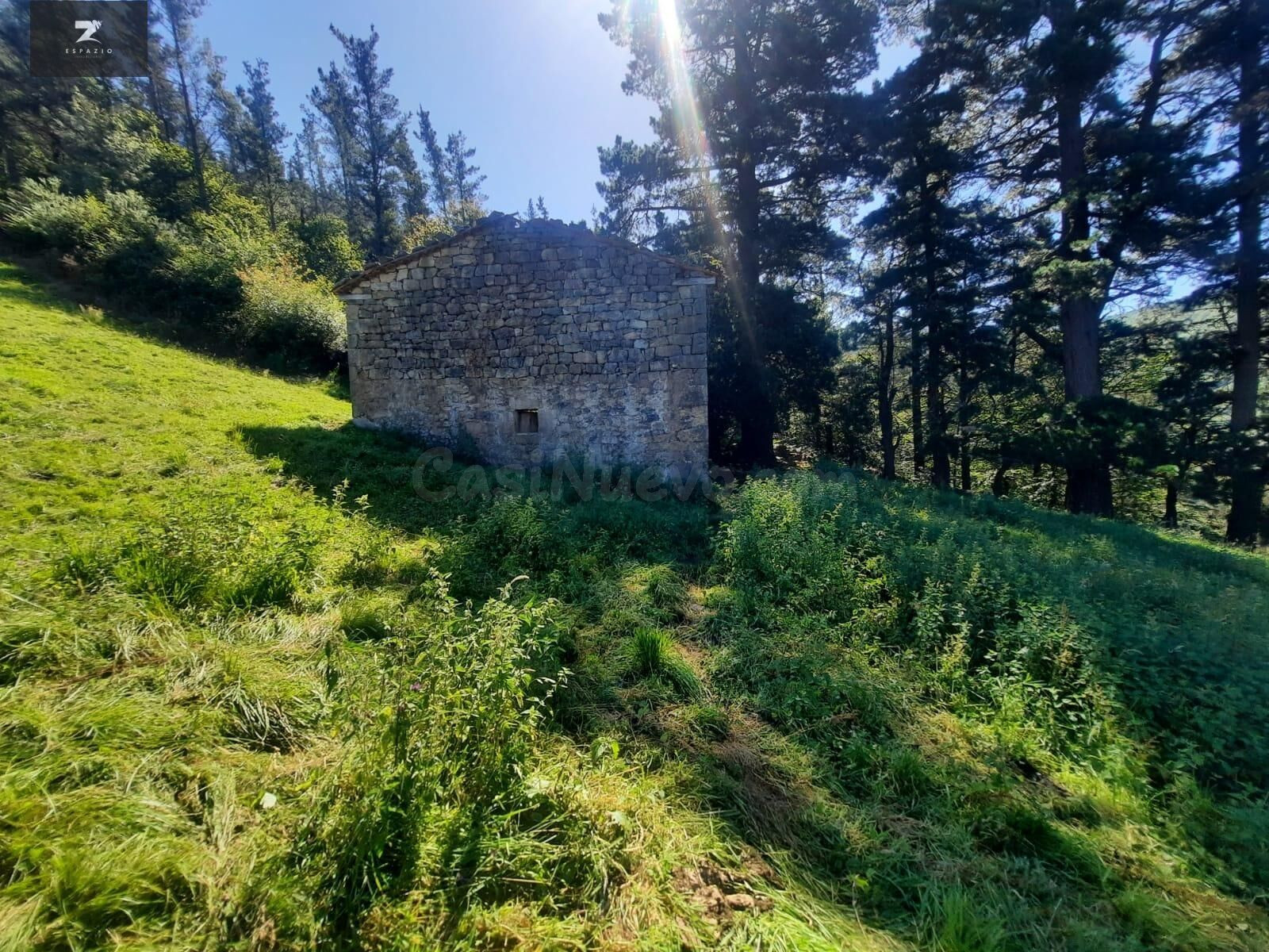 FINCA RÚSTICA CON CABAÑA PARA REFORMAR EN LUENA - foto 2
