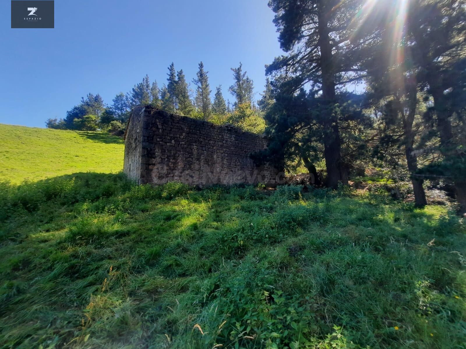 FINCA RÚSTICA CON CABAÑA PARA REFORMAR EN LUENA - foto 4