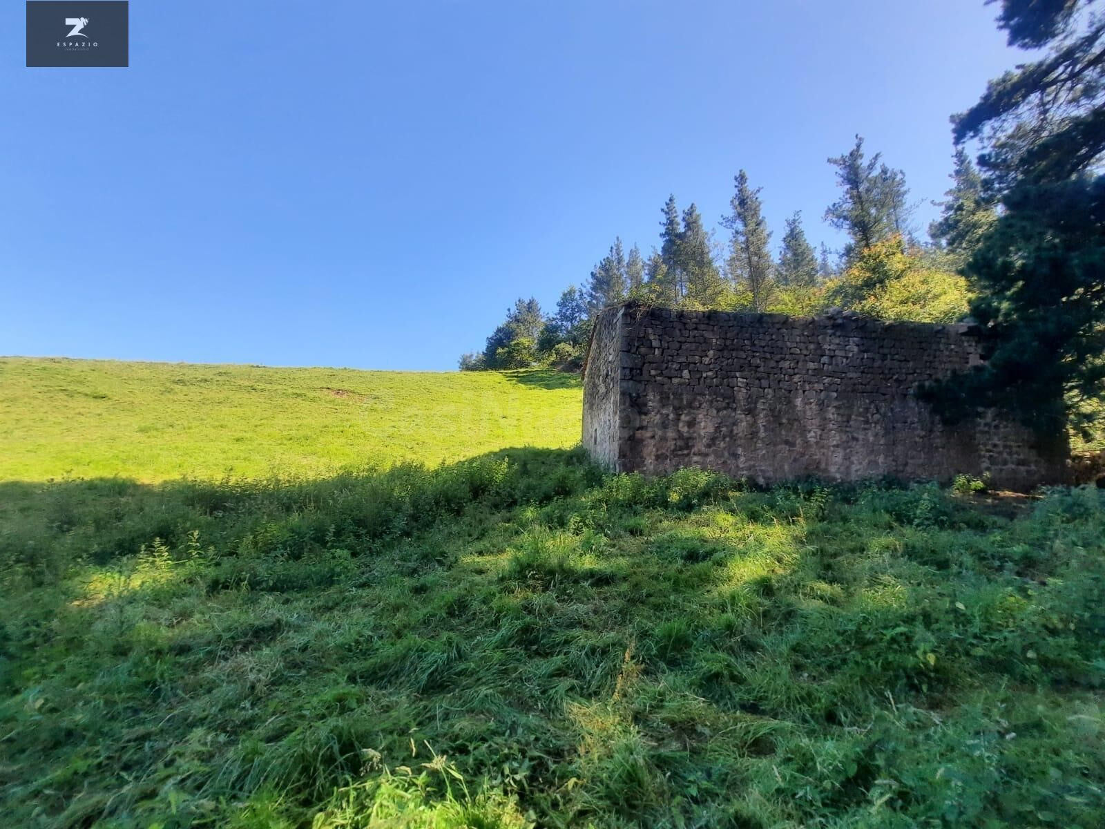 FINCA RÚSTICA CON CABAÑA PARA REFORMAR EN LUENA - foto 5