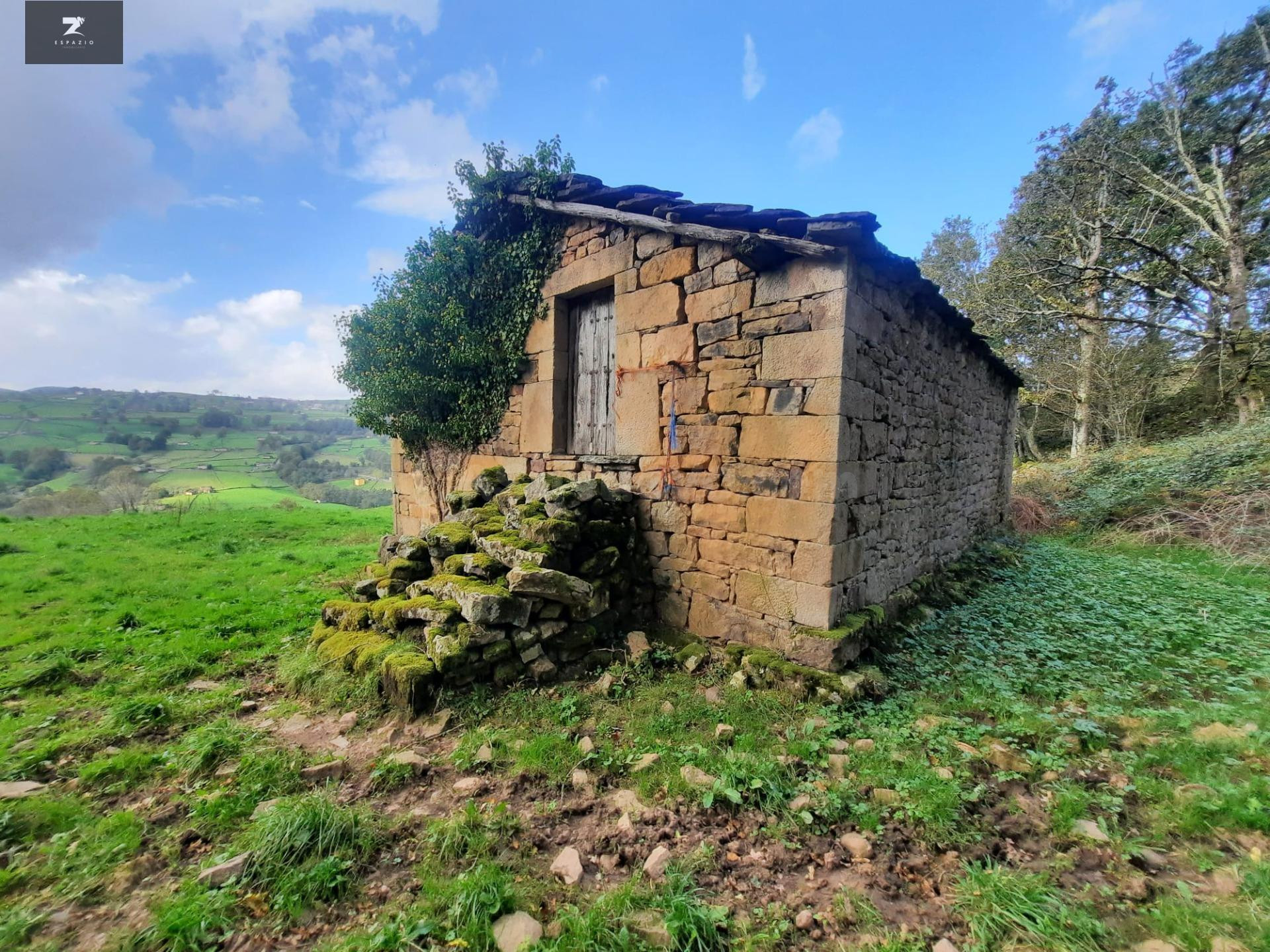 CONJUNTO DE TRES CABAÑAS INDEPENDIENTES Y FINCAS EN SAN PEDRO DEL ROMERAL ROMERAL