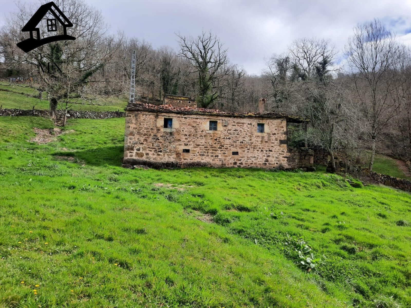 Conjunto de 2 Cabañas Pasiegas y Finca en San Pedro del Romeral - foto 2