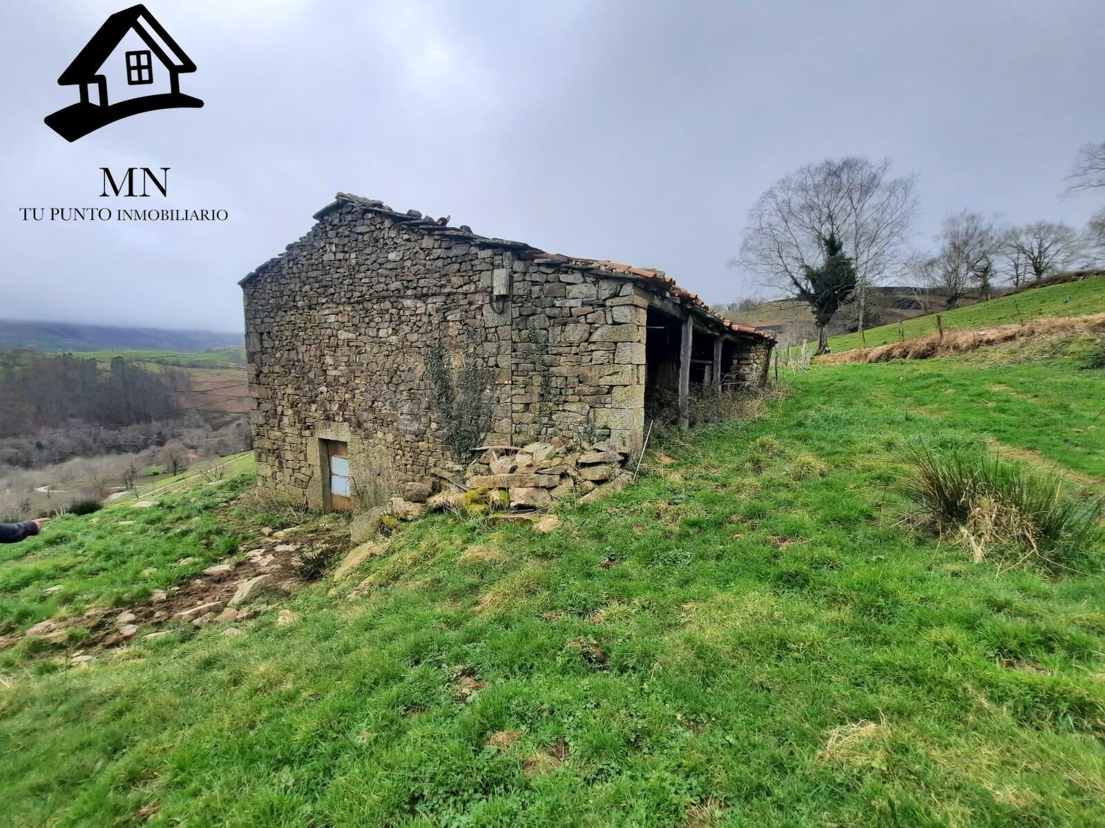 VENTA DE CABAÑA PAREADA Y FINCA EN PISUEÑA (SELAYA)