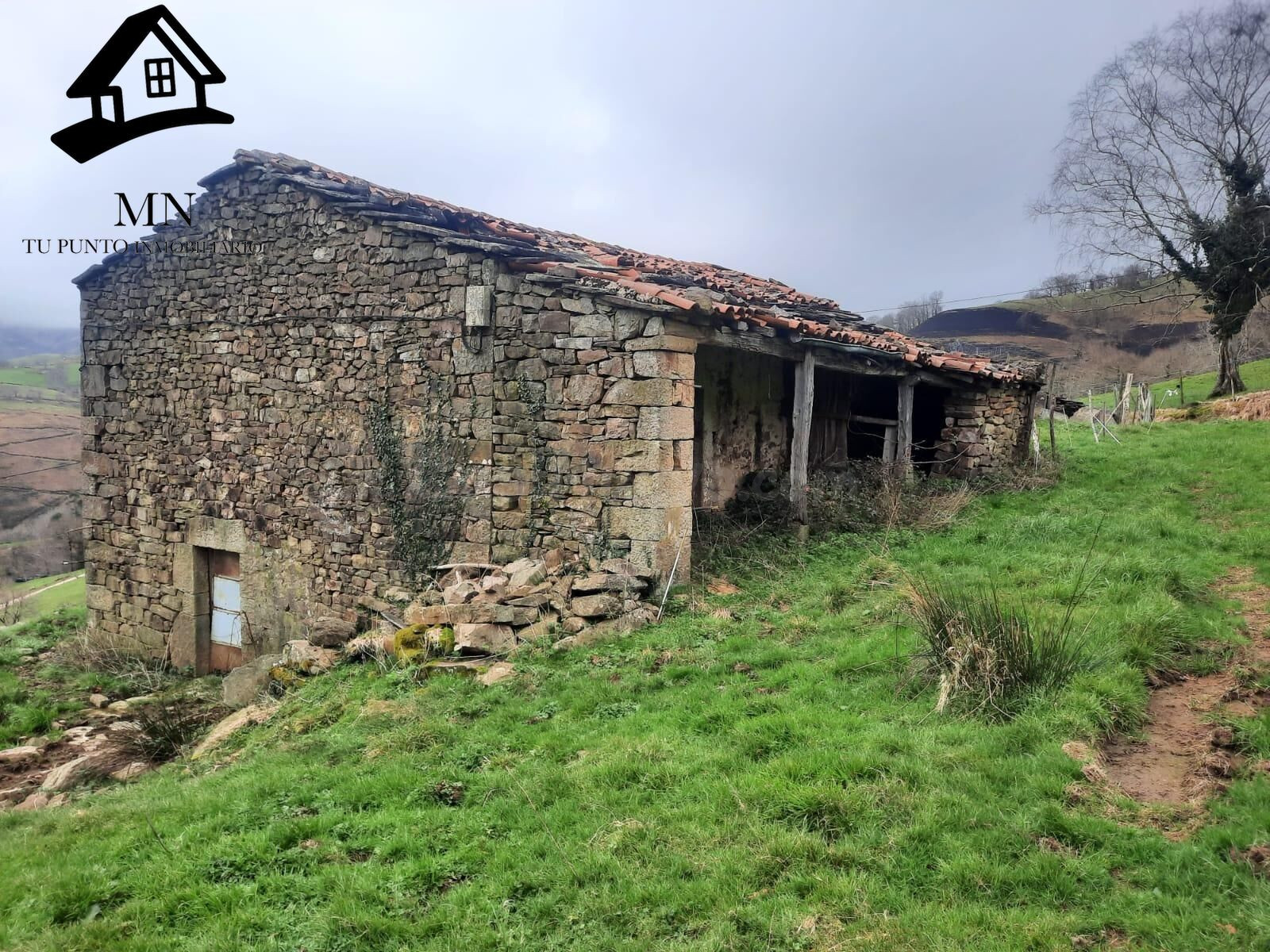 VENTA DE CABAÑA PAREADA Y FINCA EN PISUEÑA (SELAYA) - foto 3