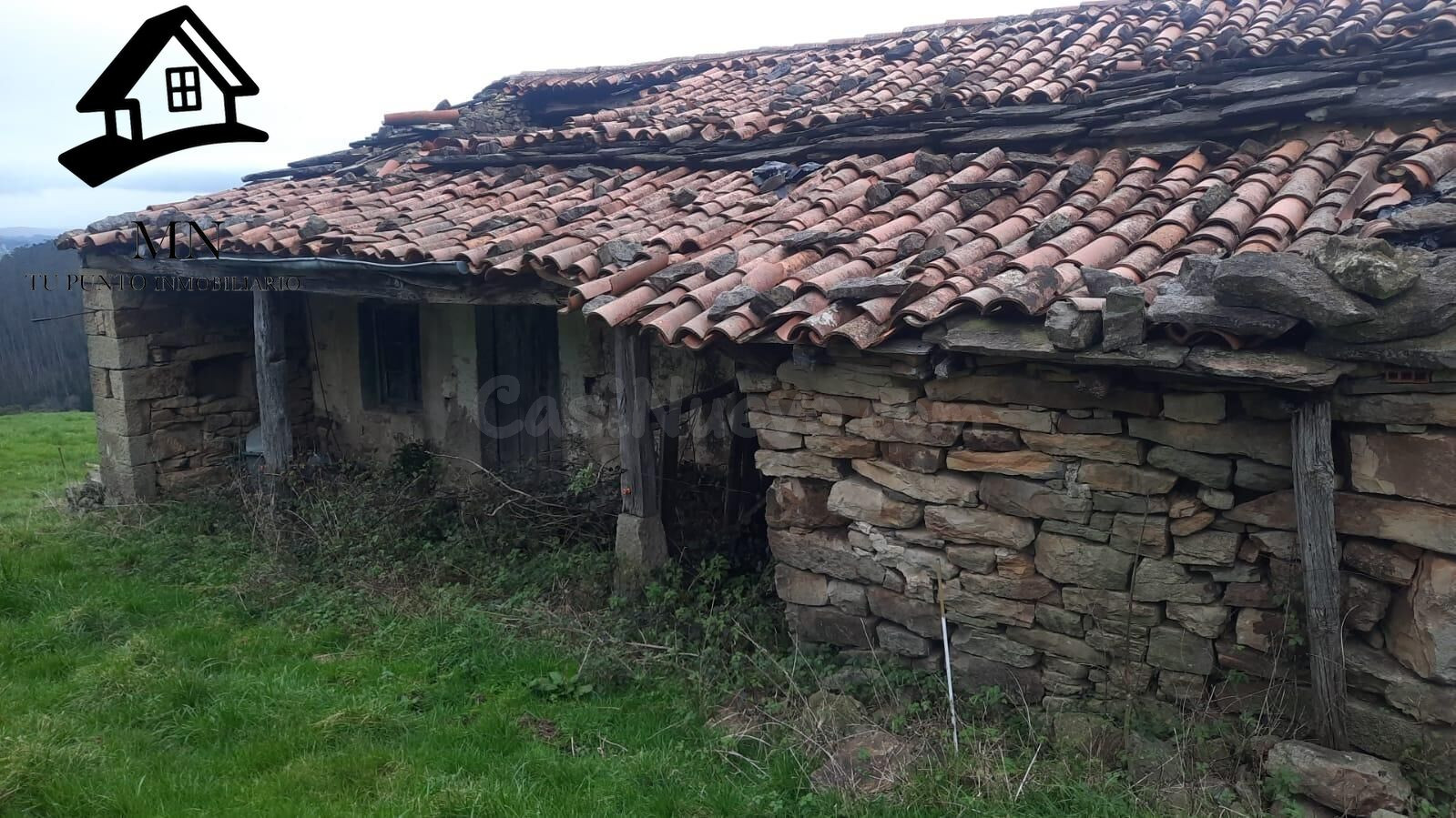 VENTA DE CABAÑA PAREADA Y FINCA EN PISUEÑA (SELAYA) - foto 4